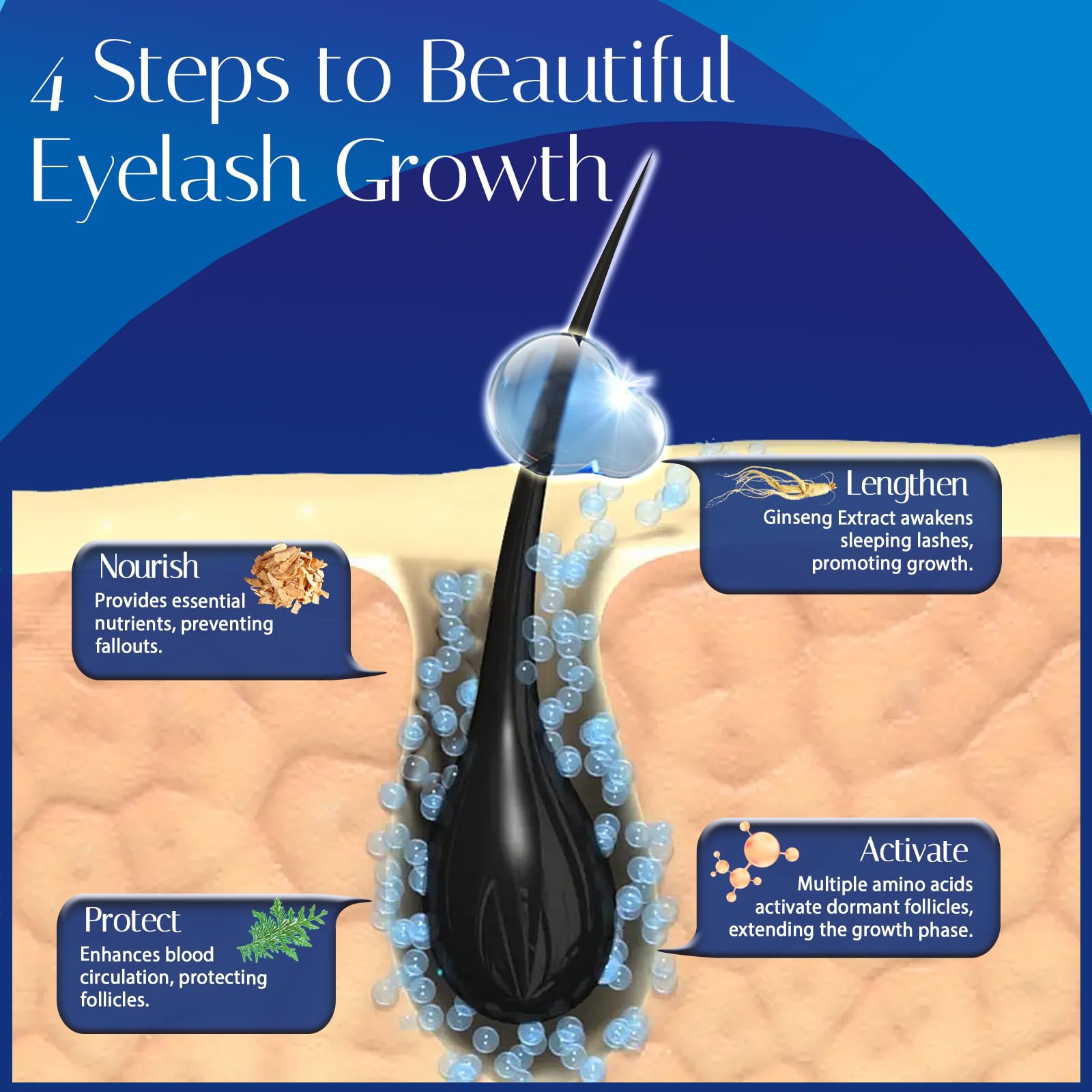 Wewell conceptual before and after lash visualization showing fuller appearance