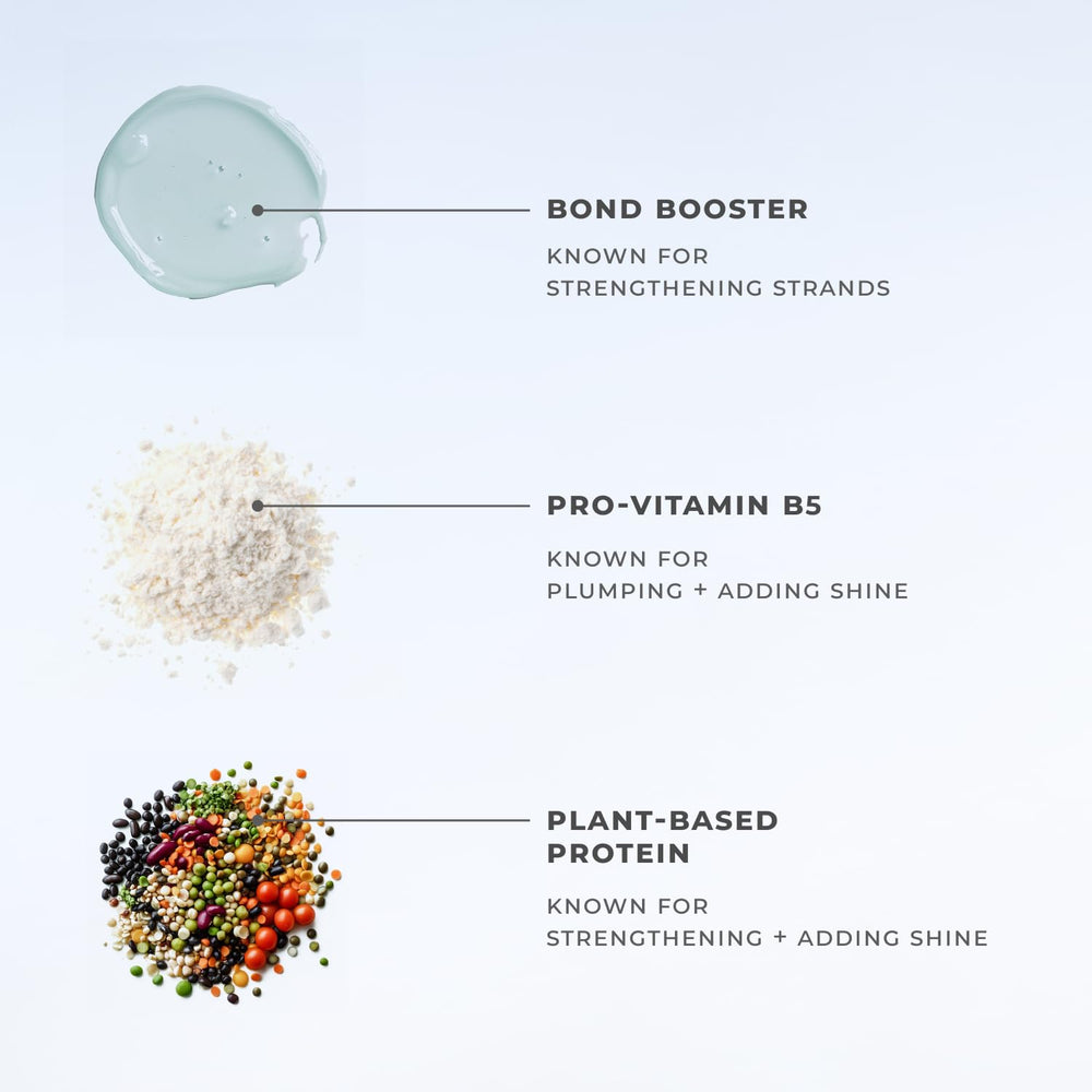 XMONDO ingredient label close-up highlighting Bond Booster and plant-based proteins for strength