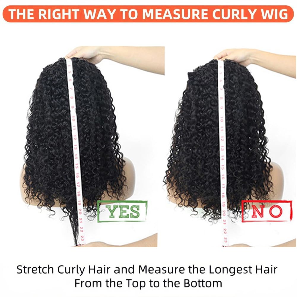 XSY half wig beside ruler showing 20 inch length and true scale