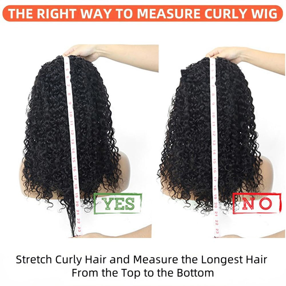 XSY half wig beside ruler showing 20 inch length and true scale