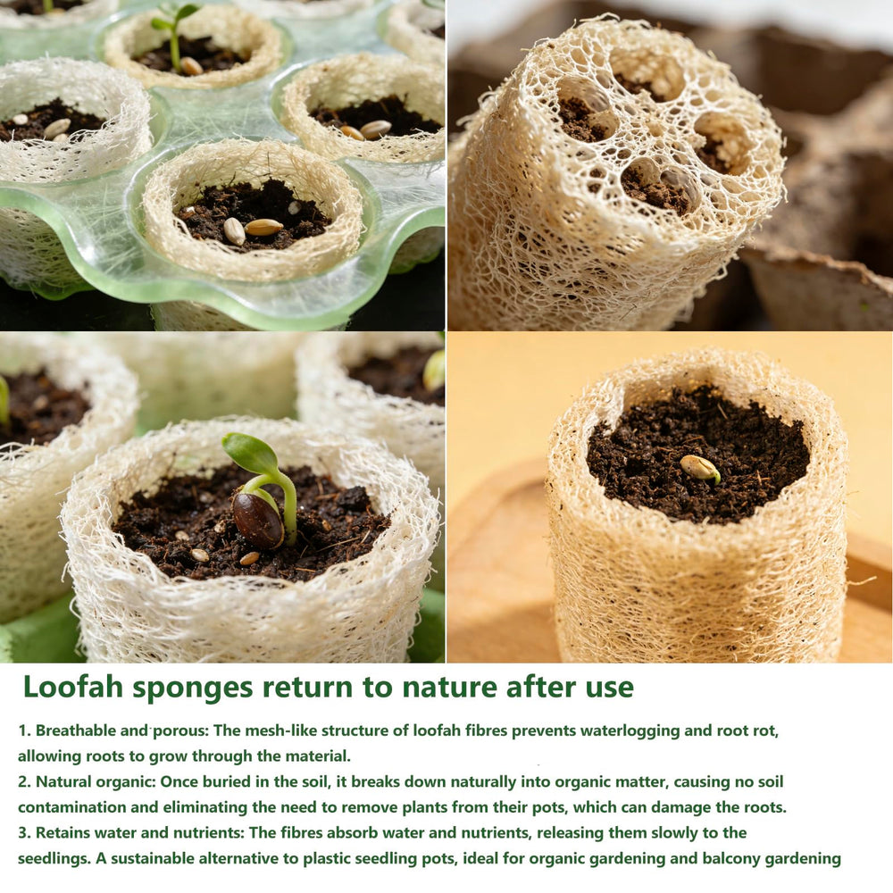 YEMTAL loofah scrubbing a dish, safe grease removal without scratching