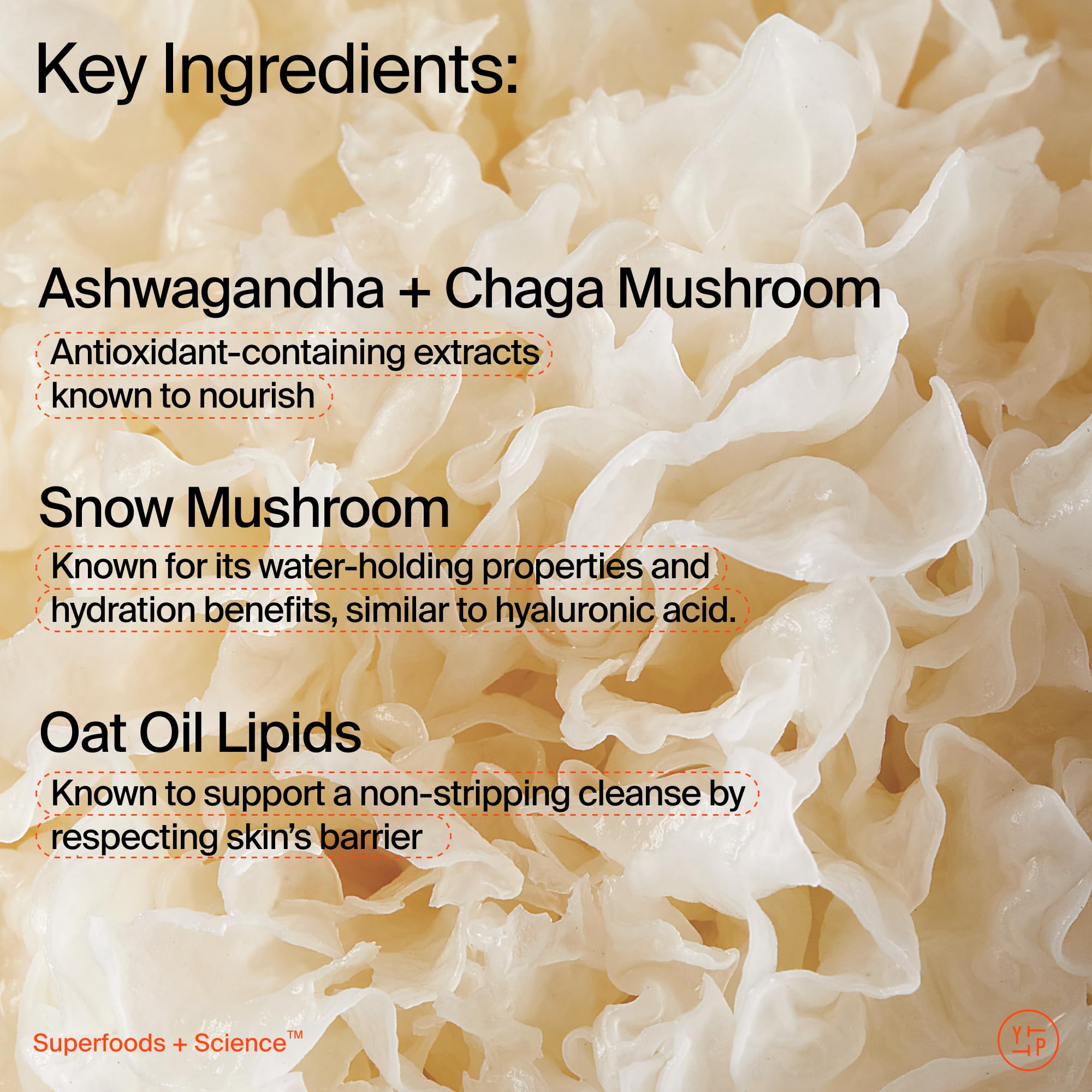 Youth To The People ashwagandha and chaga display emphasizing antioxidant soothing