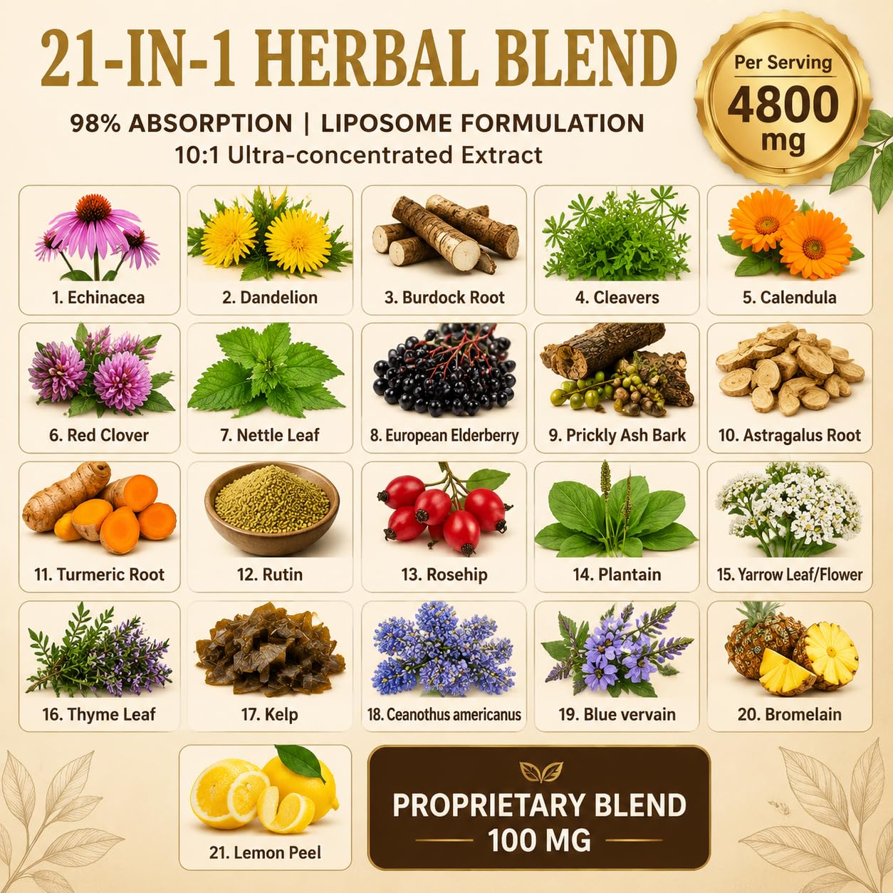 ZVPDVKW herbs and extract visuals illustrating natural botanical sources